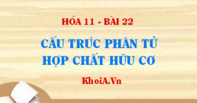 Liên kết đơn, Liên kết đôi, Liên kết ba là gì? Nội dung và ý nghĩa thuyết cấu tạo hóa học trong hợp chất hữu cơ - Hóa 11 bài 22